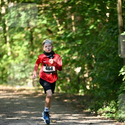 06.10.2024 - Bramfelder Halbmarathon 2024 Dr. Thomas Lammeyer http://msf.ph/oto/7340794 06.10.2024 10:46:24 Laufen 464 meine-sportfotos.de