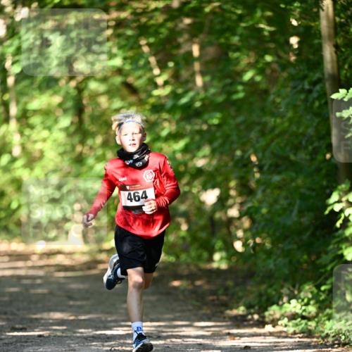 06.10.2024 - Bramfelder Halbmarathon 2024 Dr. Thomas Lammeyer http://msf.ph/oto/7340795 06.10.2024 10:46:24 Laufen 464 meine-sportfotos.de