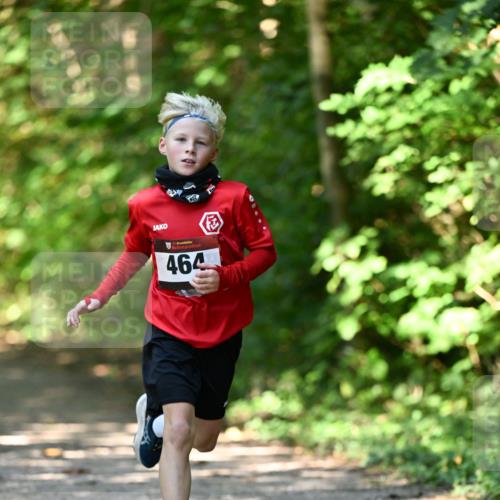 06.10.2024 - Bramfelder Halbmarathon 2024 Dr. Thomas Lammeyer http://msf.ph/oto/7340805 06.10.2024 10:46:26 Laufen 33, 464 meine-sportfotos.de