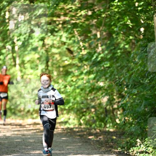 06.10.2024 - Bramfelder Halbmarathon 2024 Dr. Thomas Lammeyer http://msf.ph/oto/7340912 06.10.2024 10:46:59 Laufen 497 meine-sportfotos.de