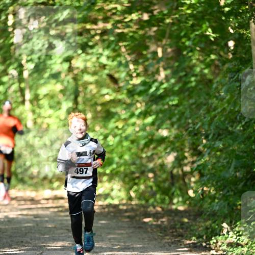 06.10.2024 - Bramfelder Halbmarathon 2024 Dr. Thomas Lammeyer http://msf.ph/oto/7340914 06.10.2024 10:46:59 Laufen 497 meine-sportfotos.de