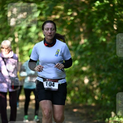 06.10.2024 - Bramfelder Halbmarathon 2024 Dr. Thomas Lammeyer http://msf.ph/oto/7341009 06.10.2024 10:47:26 Laufen 104 meine-sportfotos.de