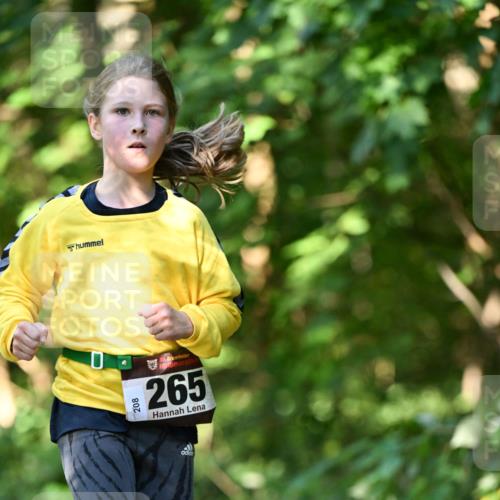 06.10.2024 - Bramfelder Halbmarathon 2024 Dr. Thomas Lammeyer http://msf.ph/oto/7341039 06.10.2024 10:47:34 Laufen 208, 33, 265 meine-sportfotos.de