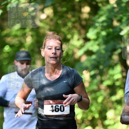 06.10.2024 - Bramfelder Halbmarathon 2024 Dr. Thomas Lammeyer http://msf.ph/oto/7341050 06.10.2024 10:47:37 Laufen 33, 460 meine-sportfotos.de
