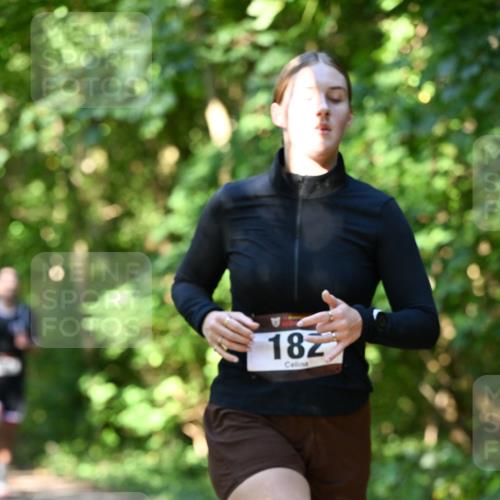 06.10.2024 - Bramfelder Halbmarathon 2024 Dr. Thomas Lammeyer http://msf.ph/oto/7341096 06.10.2024 10:47:56 Laufen 182 meine-sportfotos.de