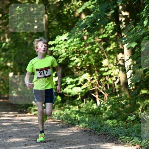 06.10.2024 - Bramfelder Halbmarathon 2024 Dr. Thomas Lammeyer http://msf.ph/oto/7341133 06.10.2024 10:48:05 Laufen 217 meine-sportfotos.de
