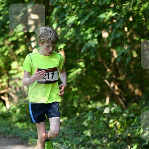 06.10.2024 - Bramfelder Halbmarathon 2024 Dr. Thomas Lammeyer http://msf.ph/oto/7341143 06.10.2024 10:48:06 Laufen 217 meine-sportfotos.de