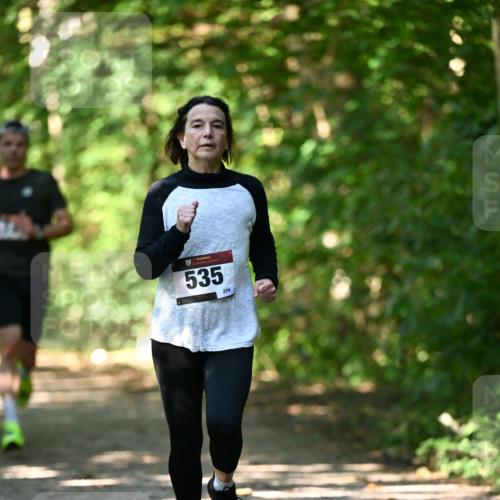 06.10.2024 - Bramfelder Halbmarathon 2024 Dr. Thomas Lammeyer http://msf.ph/oto/7341168 06.10.2024 10:48:13 Laufen 535, 204 meine-sportfotos.de