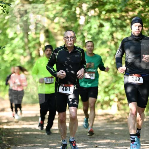 06.10.2024 - Bramfelder Halbmarathon 2024 Dr. Thomas Lammeyer http://msf.ph/oto/7341194 06.10.2024 10:48:21 Laufen 491, 109, 202 meine-sportfotos.de