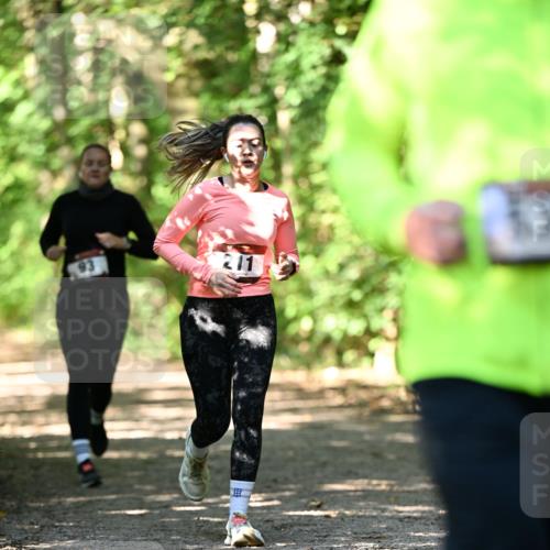 06.10.2024 - Bramfelder Halbmarathon 2024 Dr. Thomas Lammeyer http://msf.ph/oto/7341211 06.10.2024 10:48:27 Laufen 93, 211 meine-sportfotos.de