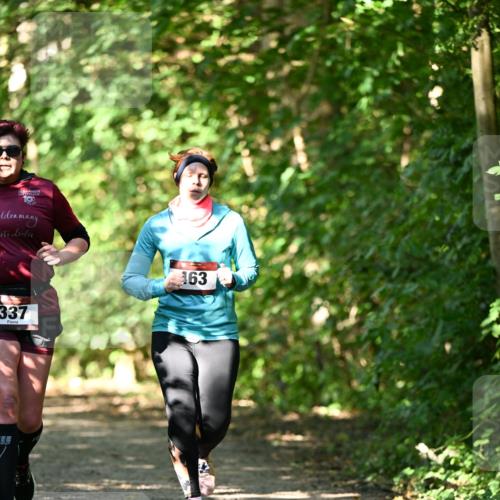06.10.2024 - Bramfelder Halbmarathon 2024 Dr. Thomas Lammeyer http://msf.ph/oto/7341320 06.10.2024 10:48:56 Laufen 10, 337, 163 meine-sportfotos.de