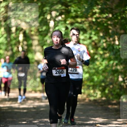 06.10.2024 - Bramfelder Halbmarathon 2024 Dr. Thomas Lammeyer http://msf.ph/oto/7341341 06.10.2024 10:49:01 Laufen 260, 229, 429 meine-sportfotos.de
