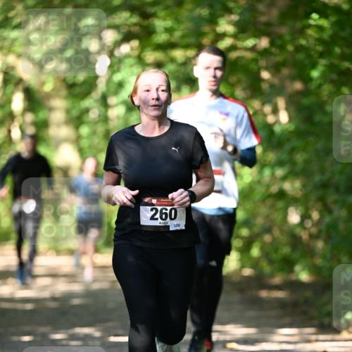 06.10.2024 - Bramfelder Halbmarathon 2024 Dr. Thomas Lammeyer http://msf.ph/oto/7341347 06.10.2024 10:49:01 Laufen 33, 260, 229 meine-sportfotos.de