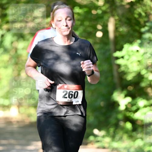 06.10.2024 - Bramfelder Halbmarathon 2024 Dr. Thomas Lammeyer http://msf.ph/oto/7341356 06.10.2024 10:49:03 Laufen 33, 260, 229 meine-sportfotos.de