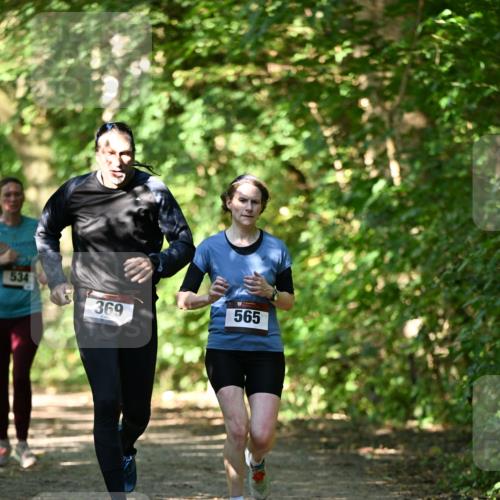 06.10.2024 - Bramfelder Halbmarathon 2024 Dr. Thomas Lammeyer http://msf.ph/oto/7341360 06.10.2024 10:49:06 Laufen 534, 369, 565 meine-sportfotos.de