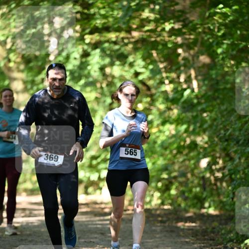 06.10.2024 - Bramfelder Halbmarathon 2024 Dr. Thomas Lammeyer http://msf.ph/oto/7341361 06.10.2024 10:49:06 Laufen 369, 565 meine-sportfotos.de