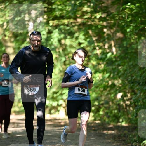 06.10.2024 - Bramfelder Halbmarathon 2024 Dr. Thomas Lammeyer http://msf.ph/oto/7341362 06.10.2024 10:49:06 Laufen 631, 565, 369 meine-sportfotos.de