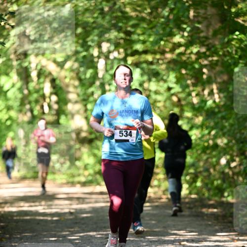 06.10.2024 - Bramfelder Halbmarathon 2024 Dr. Thomas Lammeyer http://msf.ph/oto/7341379 06.10.2024 10:49:10 Laufen 534, 203 meine-sportfotos.de
