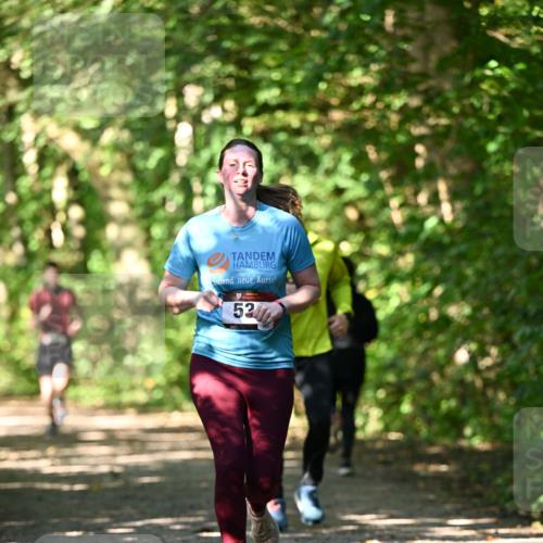 06.10.2024 - Bramfelder Halbmarathon 2024 Dr. Thomas Lammeyer http://msf.ph/oto/7341381 06.10.2024 10:49:10 Laufen 52 meine-sportfotos.de