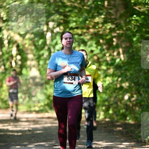 06.10.2024 - Bramfelder Halbmarathon 2024 Dr. Thomas Lammeyer http://msf.ph/oto/7341382 06.10.2024 10:49:10 Laufen 534, 203 meine-sportfotos.de