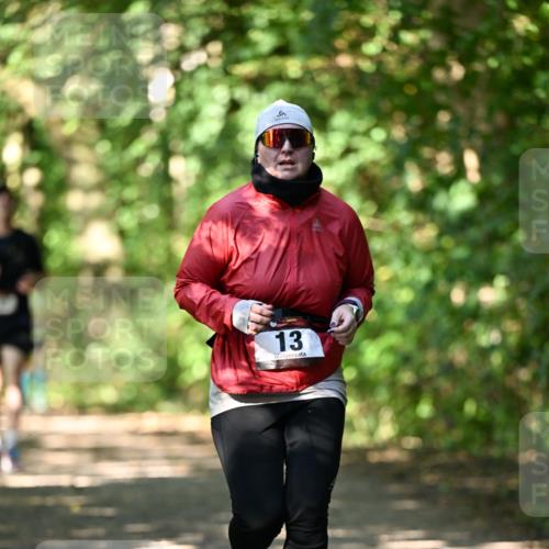 06.10.2024 - Bramfelder Halbmarathon 2024 Dr. Thomas Lammeyer http://msf.ph/oto/7341491 06.10.2024 10:49:45 Laufen 13 meine-sportfotos.de
