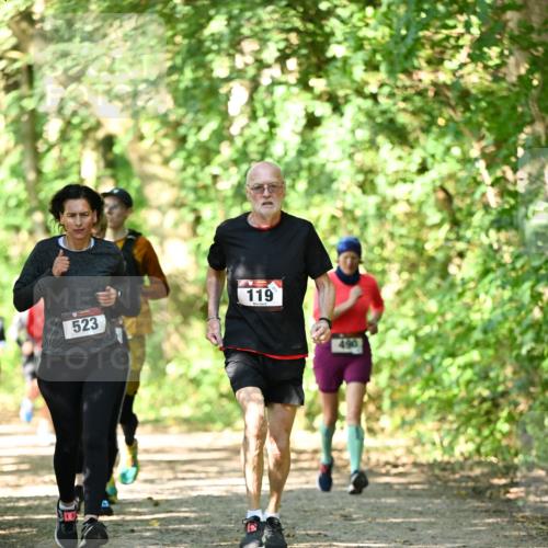 06.10.2024 - Bramfelder Halbmarathon 2024 Dr. Thomas Lammeyer http://msf.ph/oto/7341540 06.10.2024 10:50:00 Laufen 523, 119, 490 meine-sportfotos.de