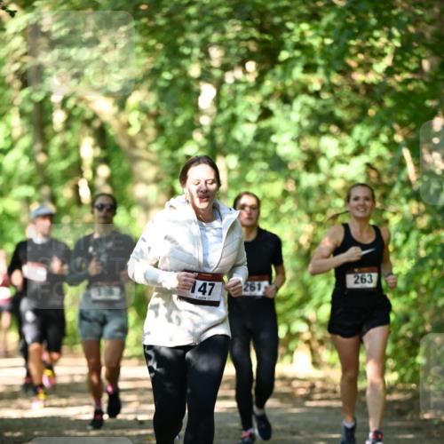 06.10.2024 - Bramfelder Halbmarathon 2024 Dr. Thomas Lammeyer http://msf.ph/oto/7341627 06.10.2024 10:50:20 Laufen 147, 261, 263 meine-sportfotos.de