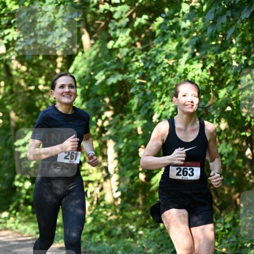 06.10.2024 - Bramfelder Halbmarathon 2024 Dr. Thomas Lammeyer http://msf.ph/oto/7341652 06.10.2024 10:50:25 Laufen 261, 263 meine-sportfotos.de