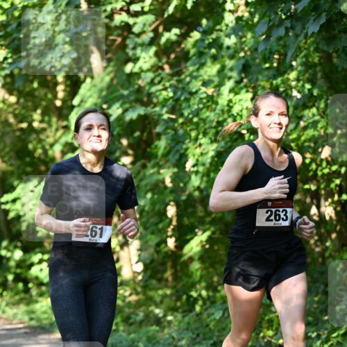 06.10.2024 - Bramfelder Halbmarathon 2024 Dr. Thomas Lammeyer http://msf.ph/oto/7341653 06.10.2024 10:50:26 Laufen 261, 263 meine-sportfotos.de