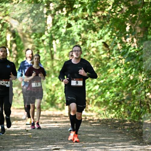 06.10.2024 - Bramfelder Halbmarathon 2024 Dr. Thomas Lammeyer http://msf.ph/oto/7341667 06.10.2024 10:50:30 Laufen 294, 19, 6 meine-sportfotos.de