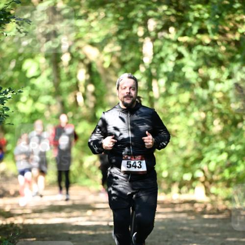 06.10.2024 - Bramfelder Halbmarathon 2024 Dr. Thomas Lammeyer http://msf.ph/oto/7341709 06.10.2024 10:50:42 Laufen 543 meine-sportfotos.de