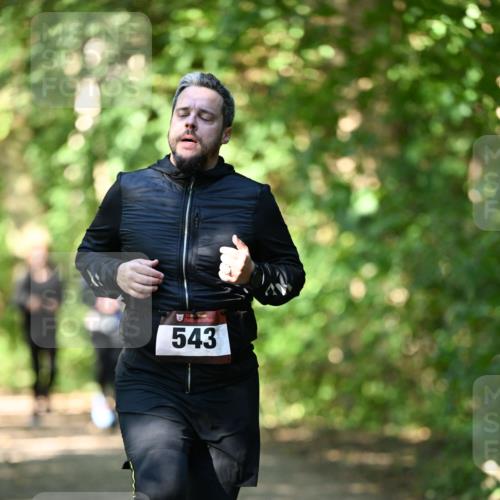 06.10.2024 - Bramfelder Halbmarathon 2024 Dr. Thomas Lammeyer http://msf.ph/oto/7341722 06.10.2024 10:50:44 Laufen 543 meine-sportfotos.de