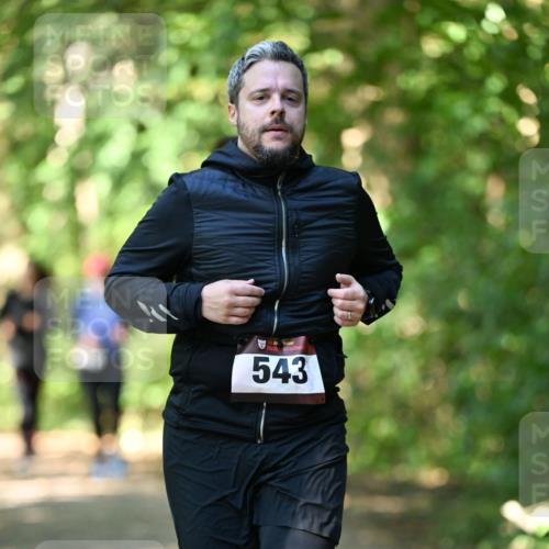 06.10.2024 - Bramfelder Halbmarathon 2024 Dr. Thomas Lammeyer http://msf.ph/oto/7341726 06.10.2024 10:50:44 Laufen 3, 543 meine-sportfotos.de