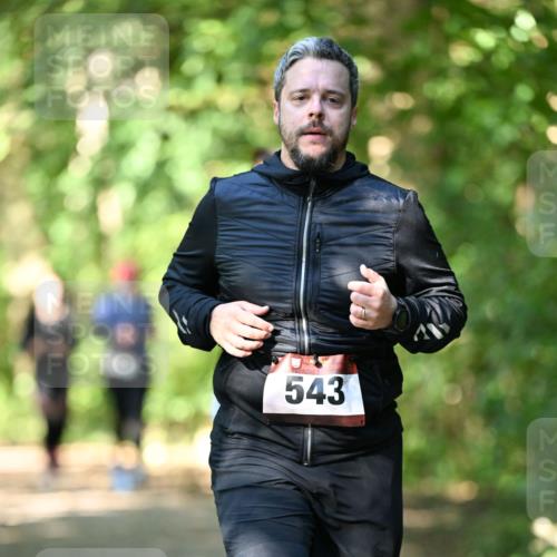 06.10.2024 - Bramfelder Halbmarathon 2024 Dr. Thomas Lammeyer http://msf.ph/oto/7341727 06.10.2024 10:50:44 Laufen 543 meine-sportfotos.de