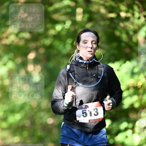 06.10.2024 - Bramfelder Halbmarathon 2024 Dr. Thomas Lammeyer http://msf.ph/oto/7341731 06.10.2024 10:50:46 Laufen 513 meine-sportfotos.de