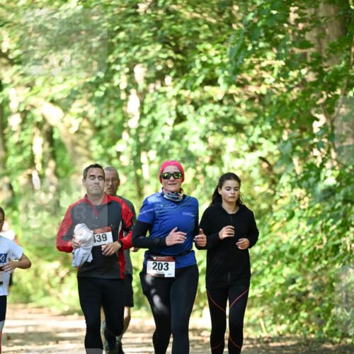 06.10.2024 - Bramfelder Halbmarathon 2024 Dr. Thomas Lammeyer http://msf.ph/oto/7341737 06.10.2024 10:50:49 Laufen 139, 203, 201 meine-sportfotos.de