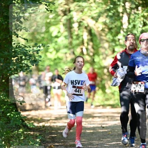 06.10.2024 - Bramfelder Halbmarathon 2024 Dr. Thomas Lammeyer http://msf.ph/oto/7341739 06.10.2024 10:50:51 Laufen 441, 214, 203, 201 meine-sportfotos.de