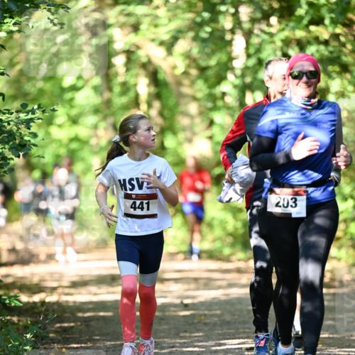 06.10.2024 - Bramfelder Halbmarathon 2024 Dr. Thomas Lammeyer http://msf.ph/oto/7341744 06.10.2024 10:50:51 Laufen 441, 203, 201 meine-sportfotos.de