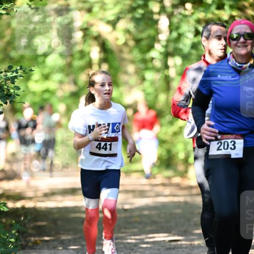 06.10.2024 - Bramfelder Halbmarathon 2024 Dr. Thomas Lammeyer http://msf.ph/oto/7341751 06.10.2024 10:50:52 Laufen 441, 203, 201 meine-sportfotos.de