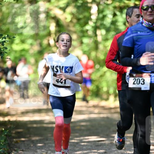 06.10.2024 - Bramfelder Halbmarathon 2024 Dr. Thomas Lammeyer http://msf.ph/oto/7341754 06.10.2024 10:50:53 Laufen 441, 203, 205 meine-sportfotos.de