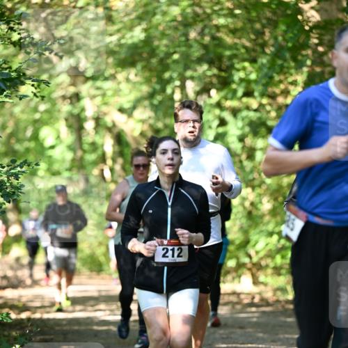 06.10.2024 - Bramfelder Halbmarathon 2024 Dr. Thomas Lammeyer http://msf.ph/oto/7341780 06.10.2024 10:51:04 Laufen 212 meine-sportfotos.de