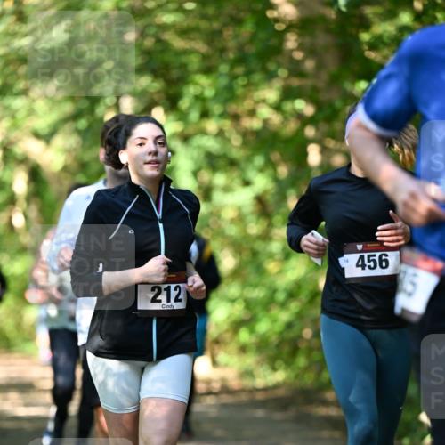 06.10.2024 - Bramfelder Halbmarathon 2024 Dr. Thomas Lammeyer http://msf.ph/oto/7341785 06.10.2024 10:51:05 Laufen 212, 14, 456 meine-sportfotos.de