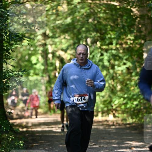 06.10.2024 - Bramfelder Halbmarathon 2024 Dr. Thomas Lammeyer http://msf.ph/oto/7341842 06.10.2024 10:51:20 Laufen 514 meine-sportfotos.de