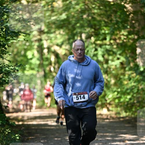 06.10.2024 - Bramfelder Halbmarathon 2024 Dr. Thomas Lammeyer http://msf.ph/oto/7341844 06.10.2024 10:51:20 Laufen 514 meine-sportfotos.de