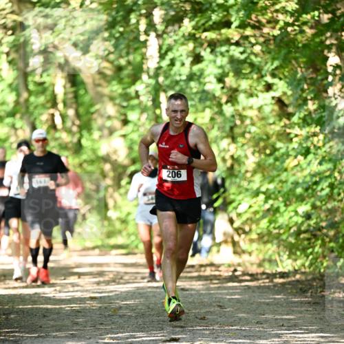06.10.2024 - Bramfelder Halbmarathon 2024 Dr. Thomas Lammeyer http://msf.ph/oto/7341872 06.10.2024 10:51:29 Laufen 206 meine-sportfotos.de