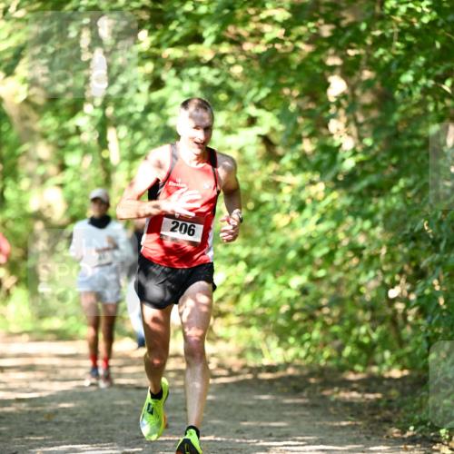 06.10.2024 - Bramfelder Halbmarathon 2024 Dr. Thomas Lammeyer http://msf.ph/oto/7341880 06.10.2024 10:51:30 Laufen 206 meine-sportfotos.de