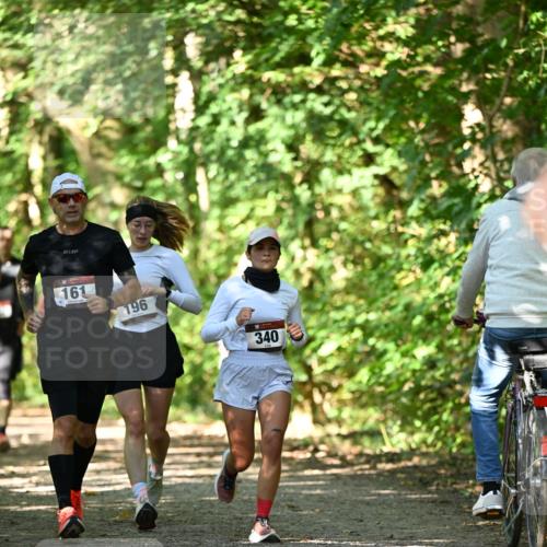 06.10.2024 - Bramfelder Halbmarathon 2024 Dr. Thomas Lammeyer http://msf.ph/oto/7341894 06.10.2024 10:51:32 Laufen 161, 196, 340 meine-sportfotos.de