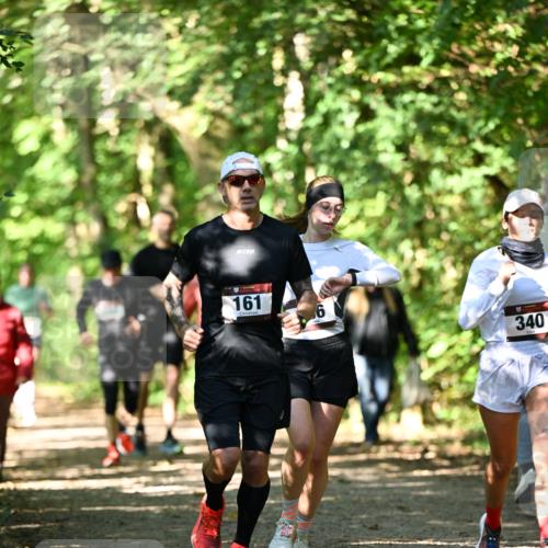 06.10.2024 - Bramfelder Halbmarathon 2024 Dr. Thomas Lammeyer http://msf.ph/oto/7341899 06.10.2024 10:51:34 Laufen 161, 6, 340 meine-sportfotos.de