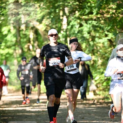 06.10.2024 - Bramfelder Halbmarathon 2024 Dr. Thomas Lammeyer http://msf.ph/oto/7341900 06.10.2024 10:51:34 Laufen 161, 196, 34 meine-sportfotos.de