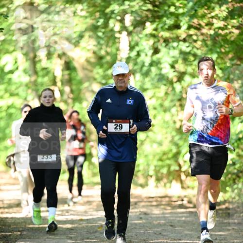 06.10.2024 - Bramfelder Halbmarathon 2024 Dr. Thomas Lammeyer http://msf.ph/oto/7341973 06.10.2024 10:52:00 Laufen 333, 29 meine-sportfotos.de